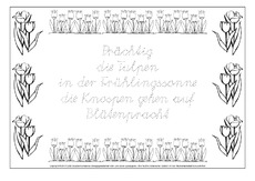 Tulpe-Elfchen-1-SAS.pdf